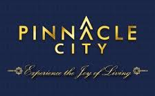 Pinnacle City Pinnacle City